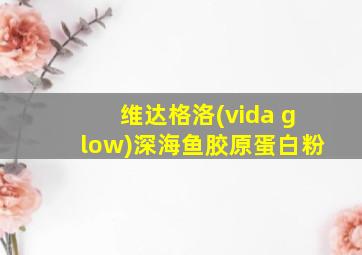 维达格洛(vida glow)深海鱼胶原蛋白粉